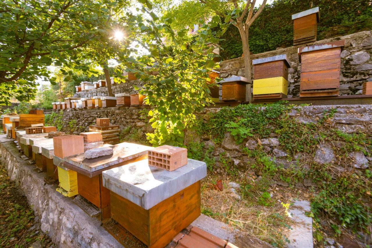 Honey Farm House Вирпазар Экстерьер фото